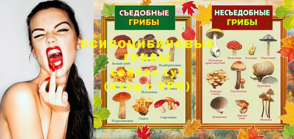 гашик Армянск