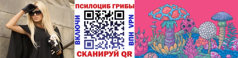 Псилоцибиновые грибы Psilocybine cubensis  цена   Куса 